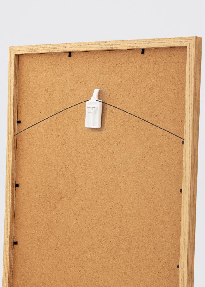 ID Factory XG - 138 Picture hook for all walls - BGA Picture hook 2 pack