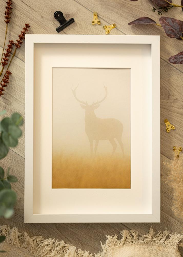 BGA BGA Box Frame Acrylic Glass White 29.7x42 cm (A3)