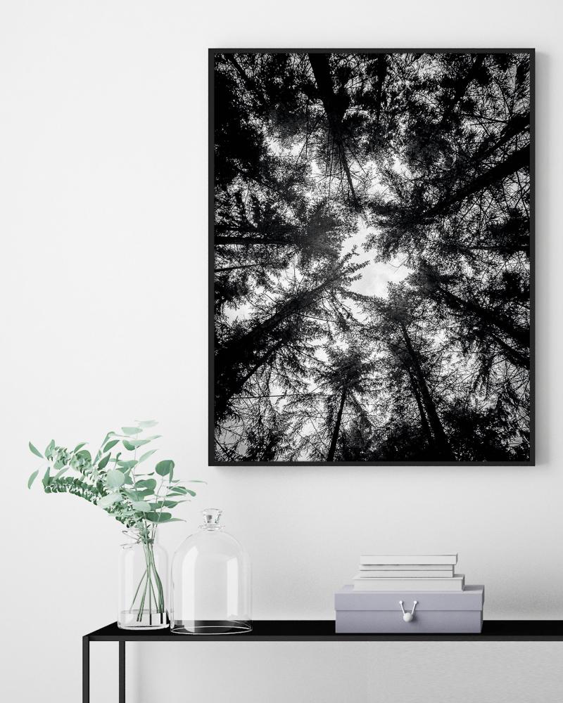 Estancia The Treetops - 42x59,4 cm (A2)