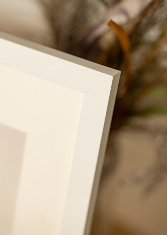 BGA Frame BGA Classic Acrylic Glass White 60x80 cm