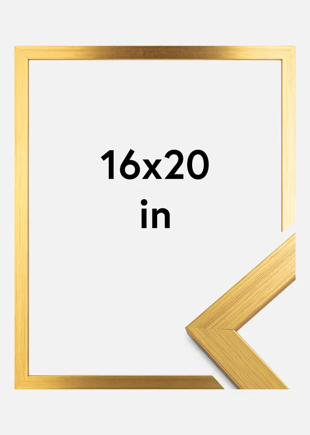 Galleri 1 Frame Gold Wood Acrylic glass 16x20 inches (40.64x50.8 cm)