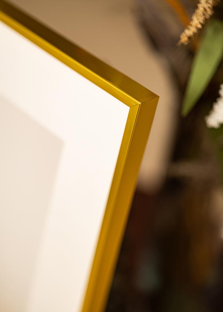 BGA Aluminium Frame Acrylic Glass Gold 60x80 cm