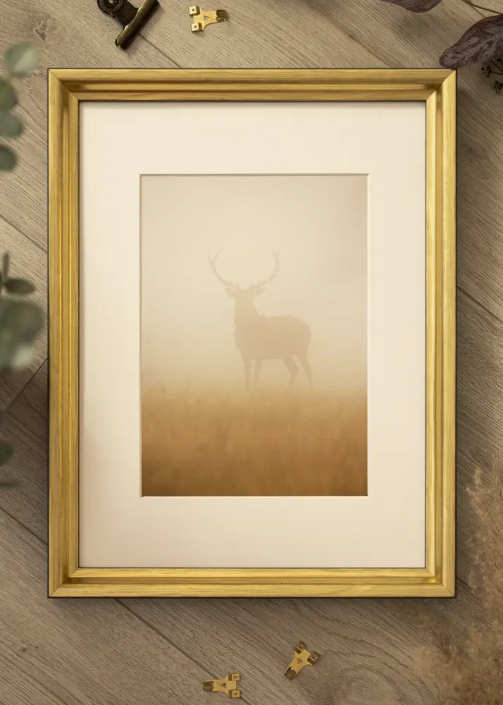 Ramverkstad Frame Arjeplog Gold - Custom Size