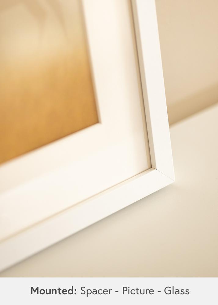 BGA BGA Box Frame Acrylic Glass White 29.7x42 cm (A3)