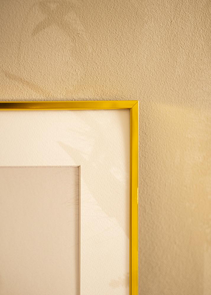 BGA Aluminium Frame Acrylic Glass Gold 60x80 cm