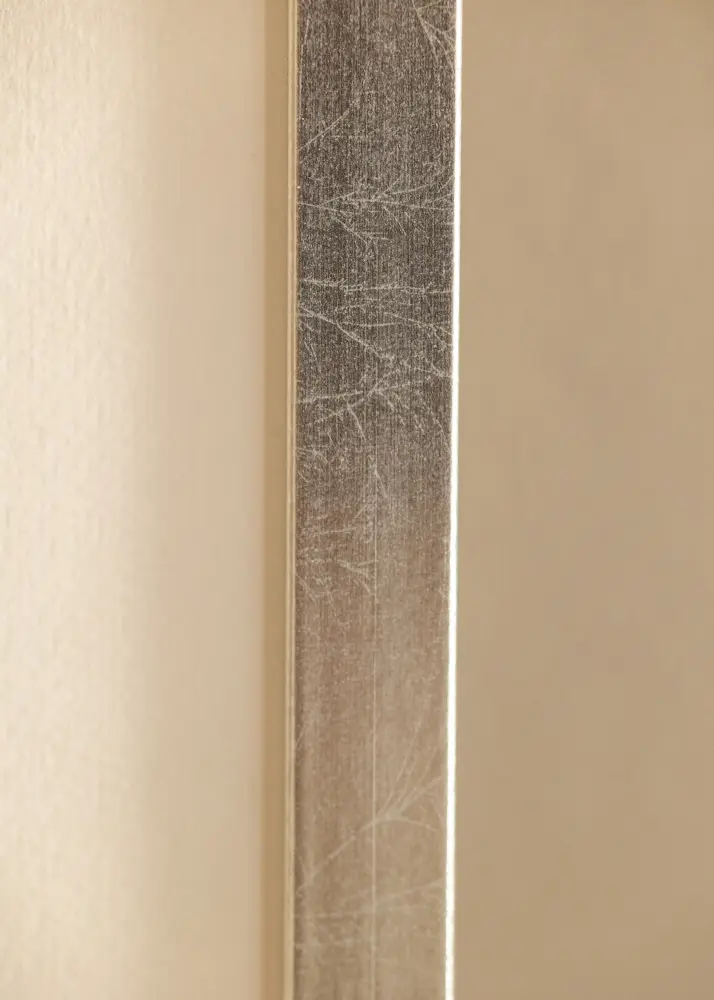 Mavanti Frame Minerva Acrylic Glass Silver 42x59.4 cm (A2)