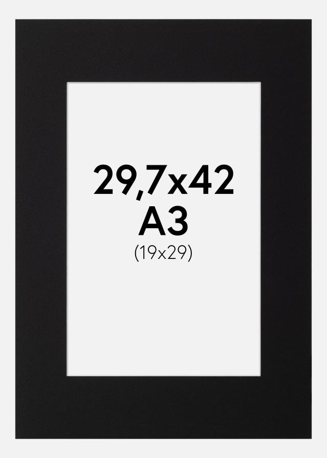 Galleri 1 Mount Canson Black (White Core) 29,7x42 cm (19x29)