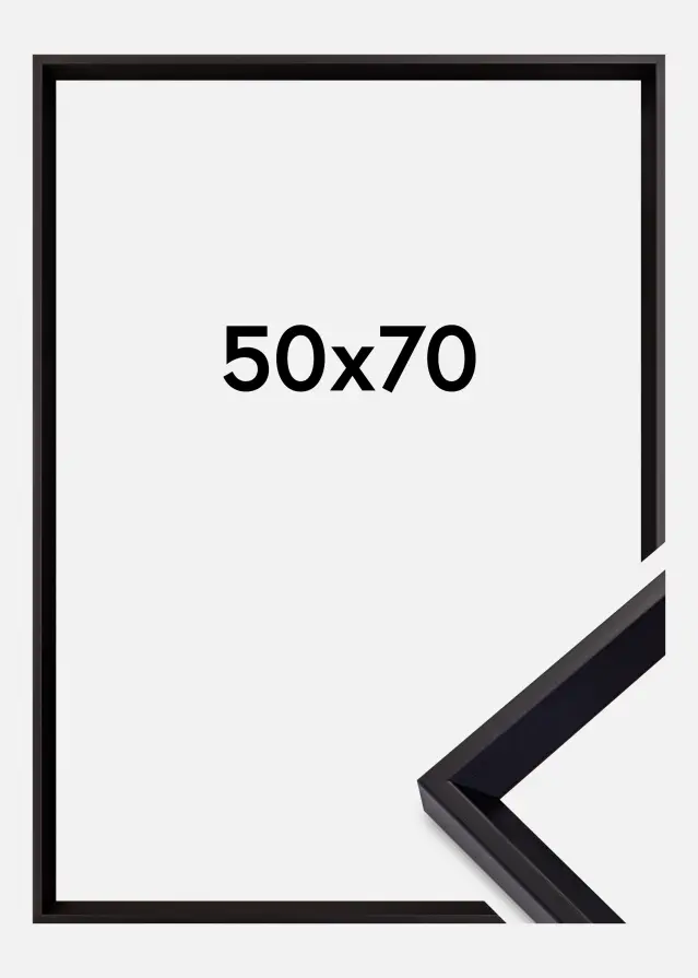 Galleri 1 Frame Globe Acrylic glass Black 50x70 cm
