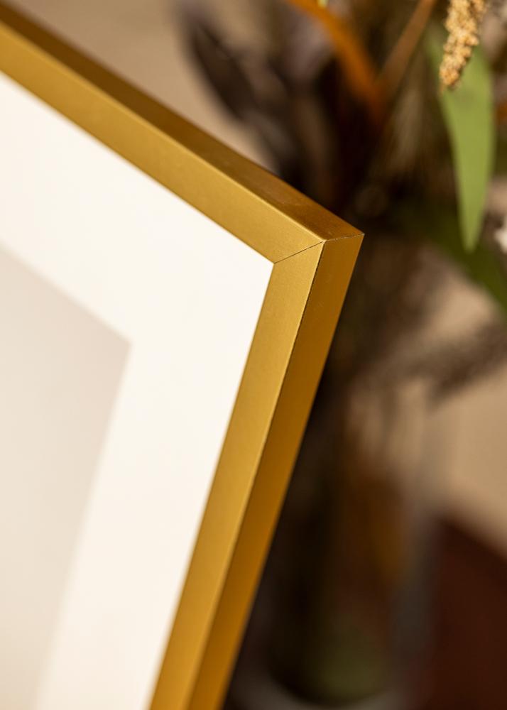 Mavanti Frame Minerva Acrylic Glass Gold 20x20 cm