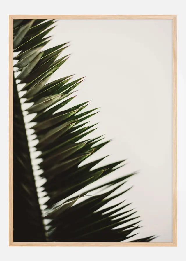 Bildverkstad Palm Branches Poster
