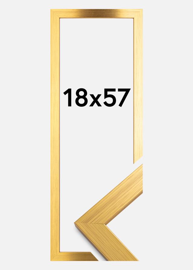 Galleri 1 Frame Gold Wood 18x57 cm