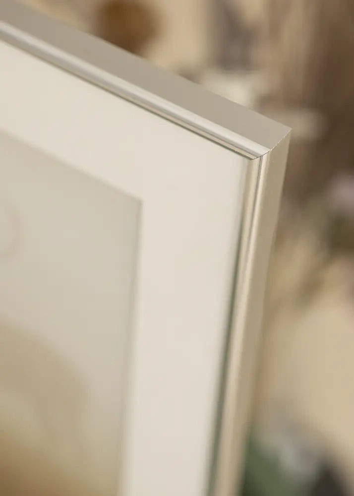 Walther Frame Galeria Silver 24x30 cm