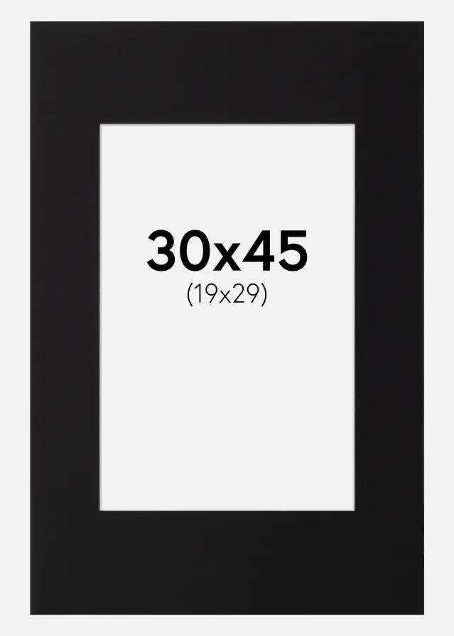 Galleri 1 Mount Canson Black (White Core) 30x45 cm (19x29)