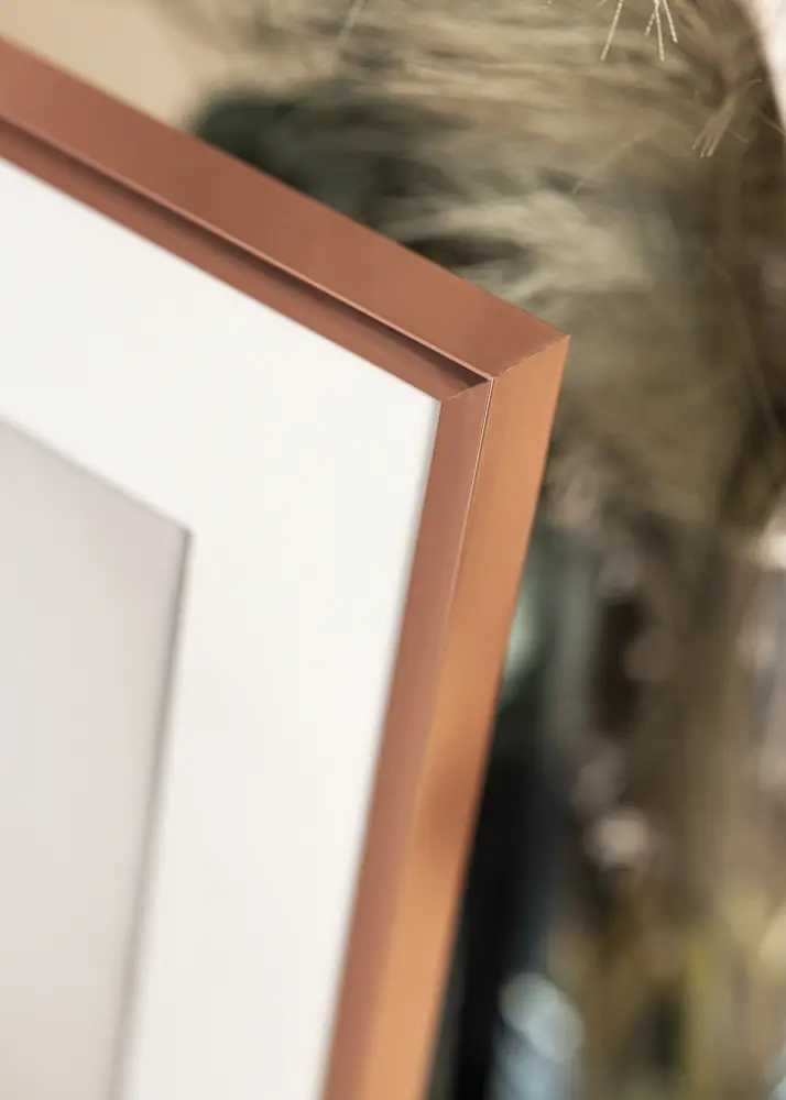 Ram med passepartou Frame Poster Frame Aluminum Rose Gold 70x100 cm - Picture Mount White 62x85 cm