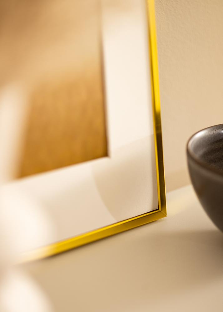 BGA Aluminium Frame Acrylic Glass Gold 60x80 cm