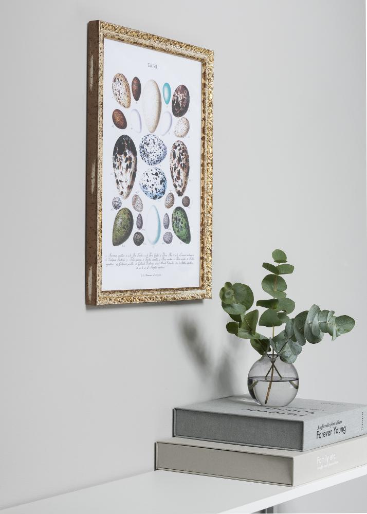 Bubola e Naibo Frame Smith Gold-Silver 35x50 cm