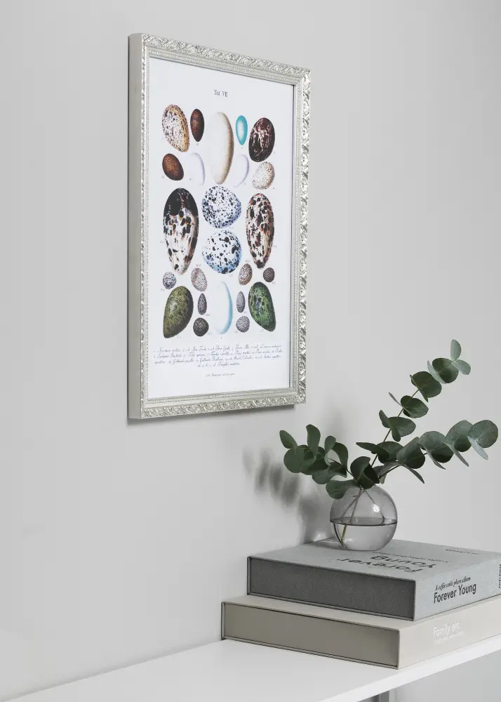 Bubola e Naibo Frame Smith Silver 50x70 cm