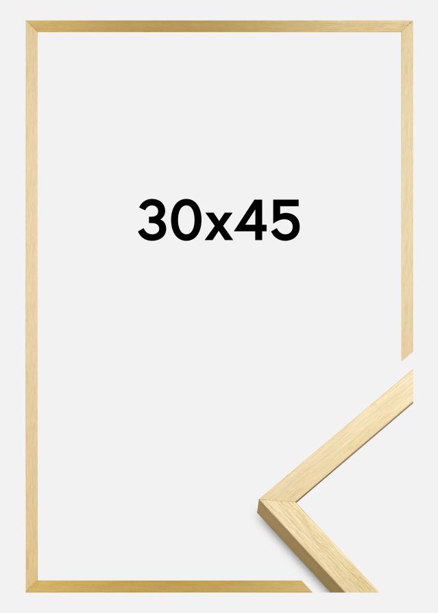 Walther Frame Chair Gold 30x45 cm