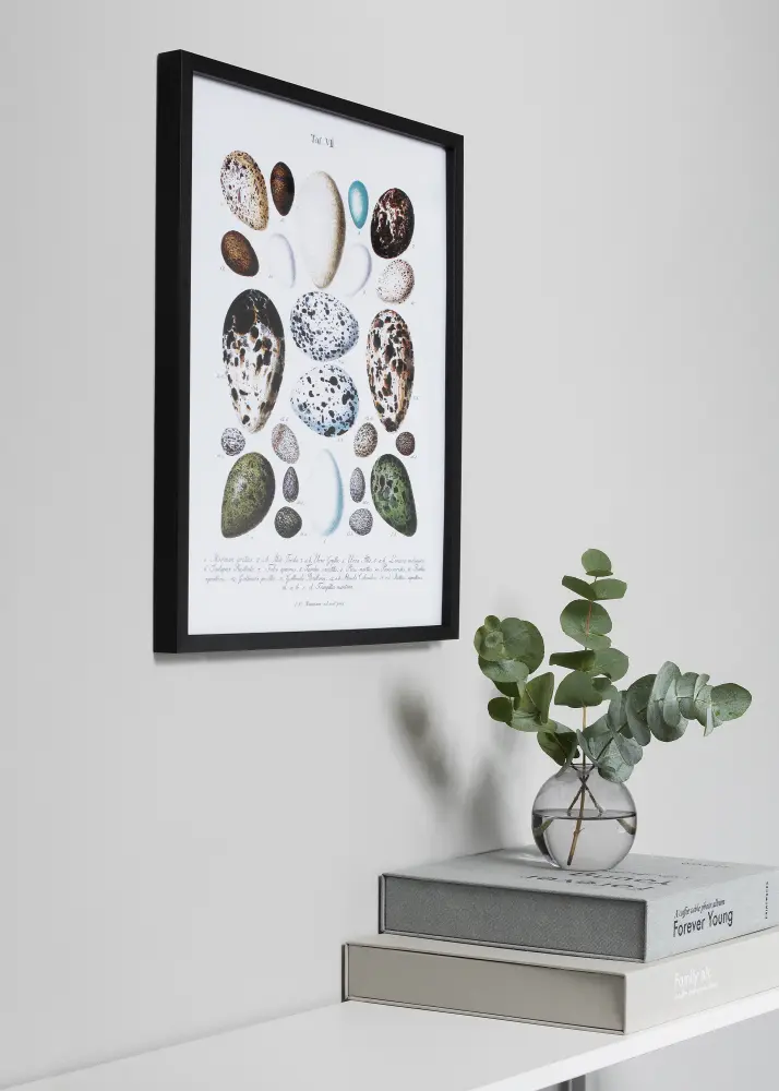 Focus Frame Vivaldi Black 50x70 cm