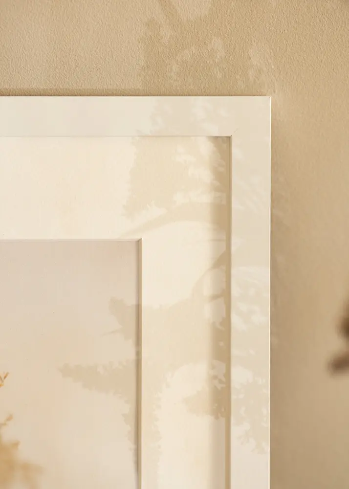 Artlink Frame BGA Classic Acrylic Glass White 42x59,4 cm (A2)