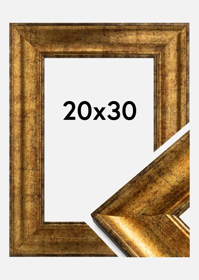 Galleri 1 Frame Saltsjöbaden Acrylic glass Gold 20x30 cm