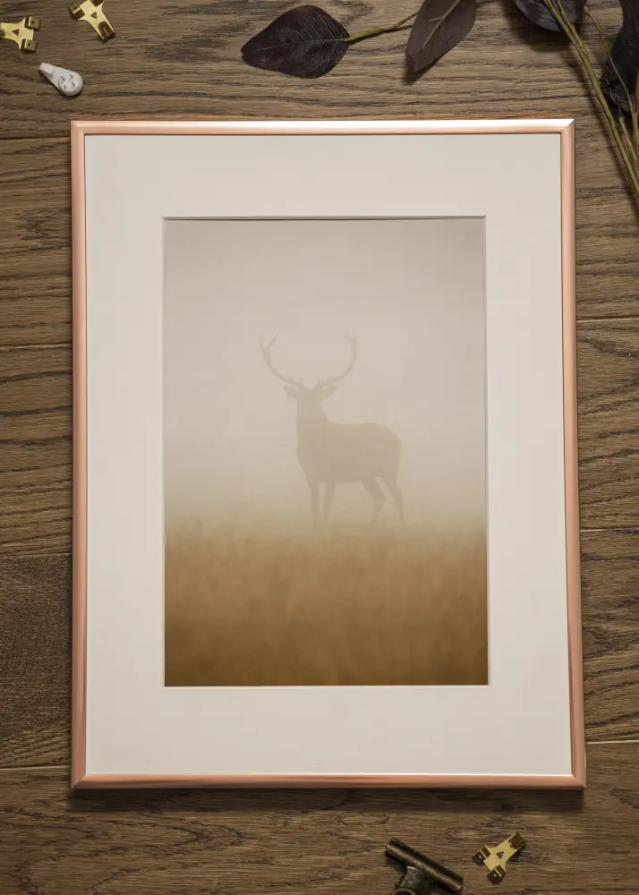 Ram med passepartou Frame Poster Frame Aluminum Rose Gold 70x100 cm - Picture Mount White 62x85 cm