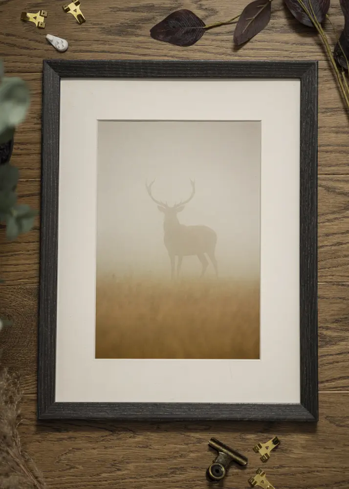 Walther Frame Fiorito Acrylic Glass Dark Grey 21x29,7 cm (A4)
