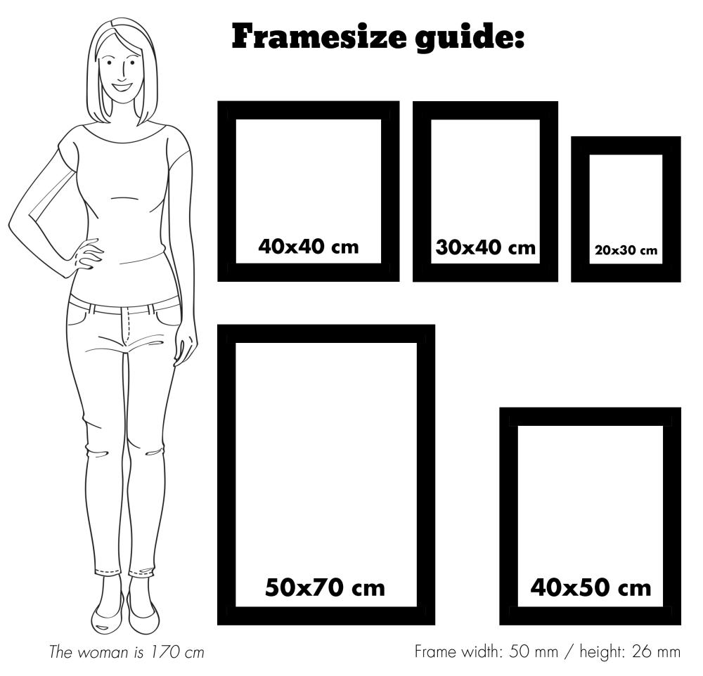 Estancia Frame Rokoko Silver 40x50 cm