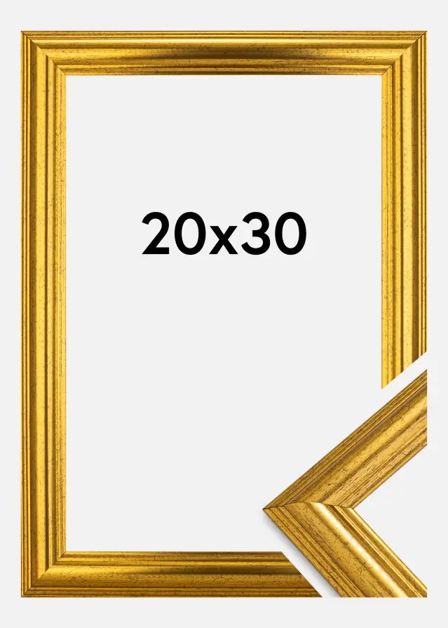 Galleri 1 Frame Västkusten Gold 20x30 cm