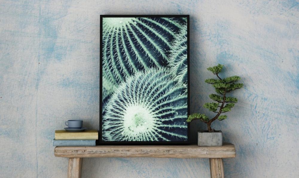 Love Home Round Cactus Poster