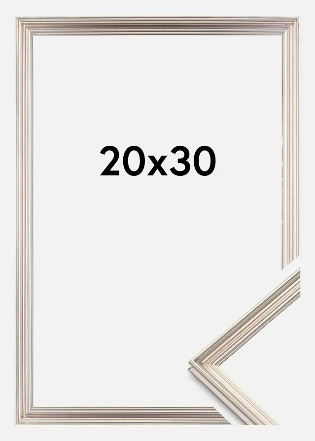 Focus Frame Verona Silver 20x30 cm