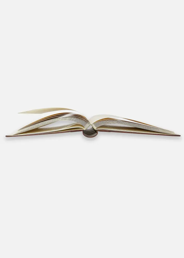 Walther Madrid Album Brown - 30x31 cm (60 Brown pages / 30 sheets)