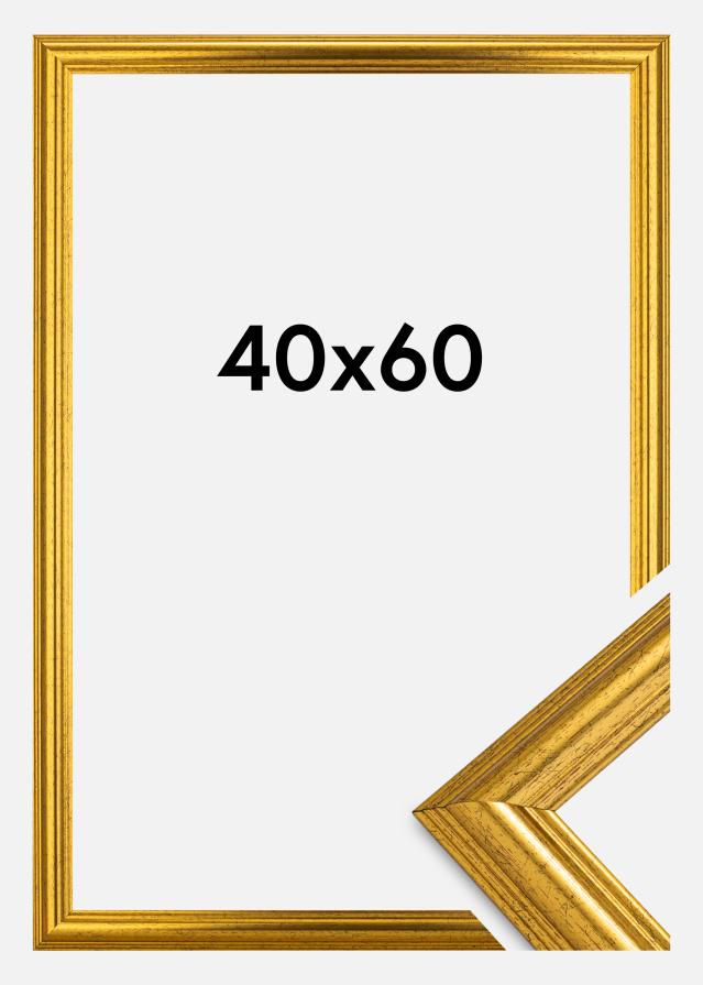 Galleri 1 Frame Old Fashion Gold 40x60 cm