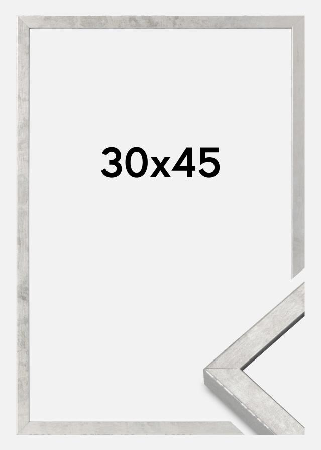 Mavanti Frame Ares Acrylic Glass Silver 30x45 cm