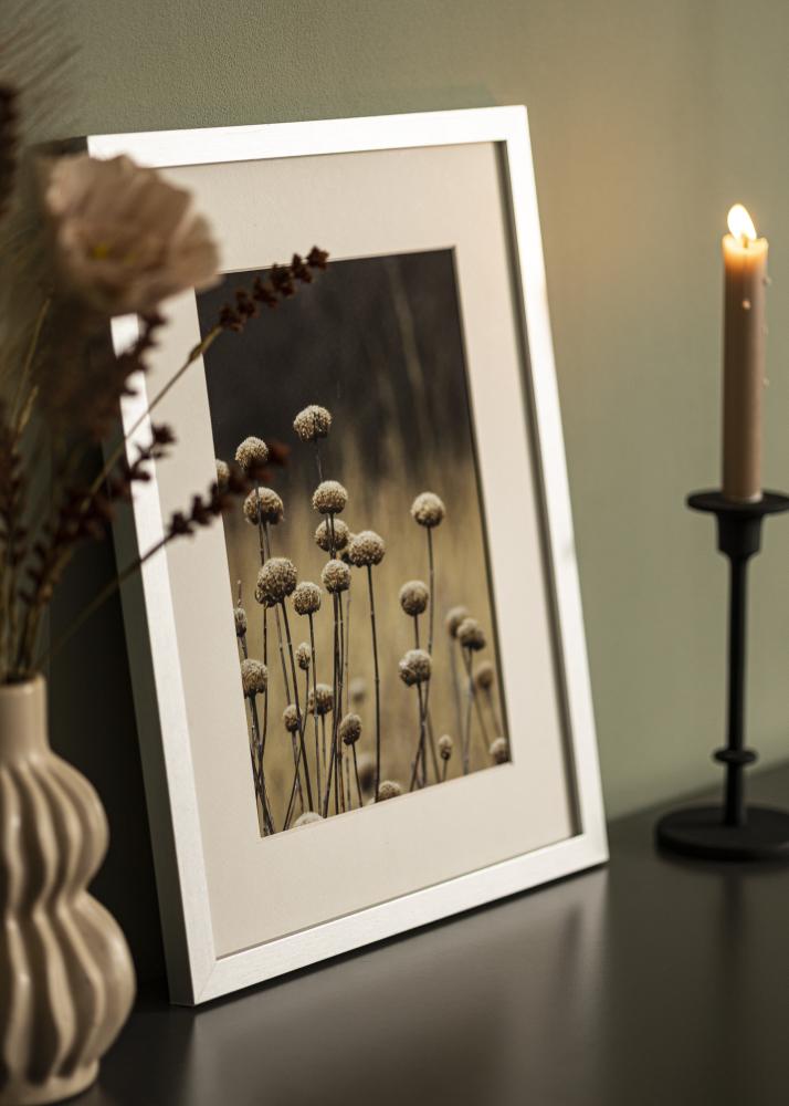 BGA Frame Selection Acrylic Glass Silver 40x50 cm