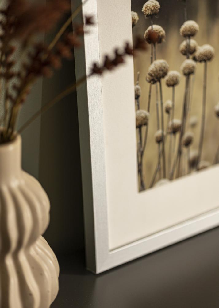 BGA Frame Selection Acrylic Glass Silver 40x50 cm