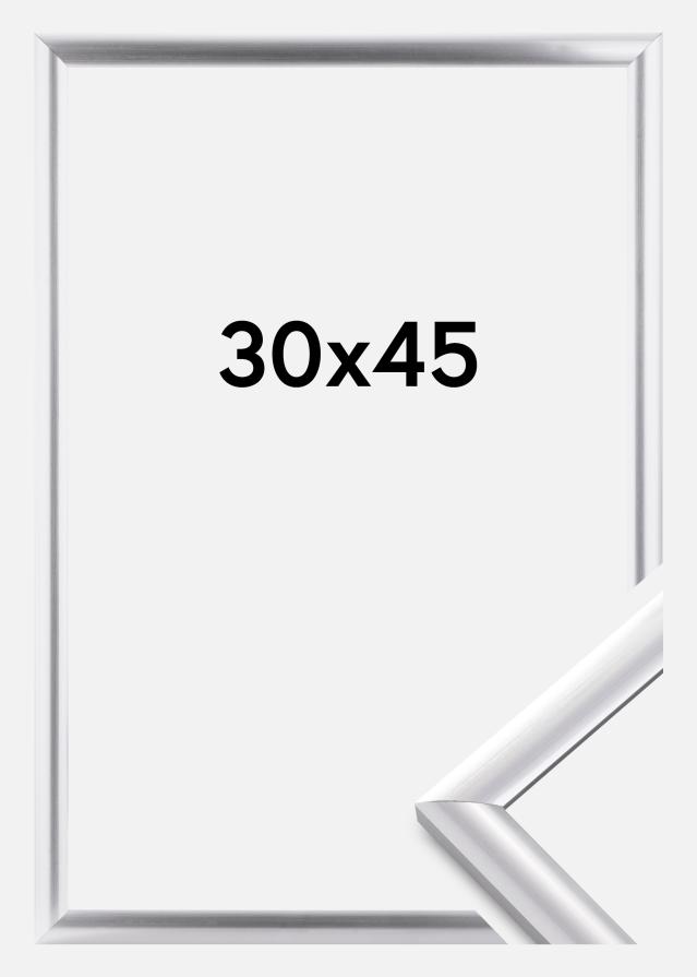 Walther Frame Trendstyle Silver 30x45 cm