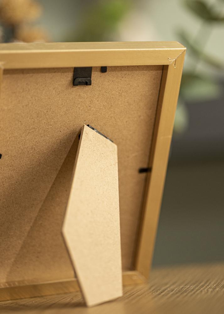 BGA Frame Selection Acrylic Glass Gold 21x30 cm