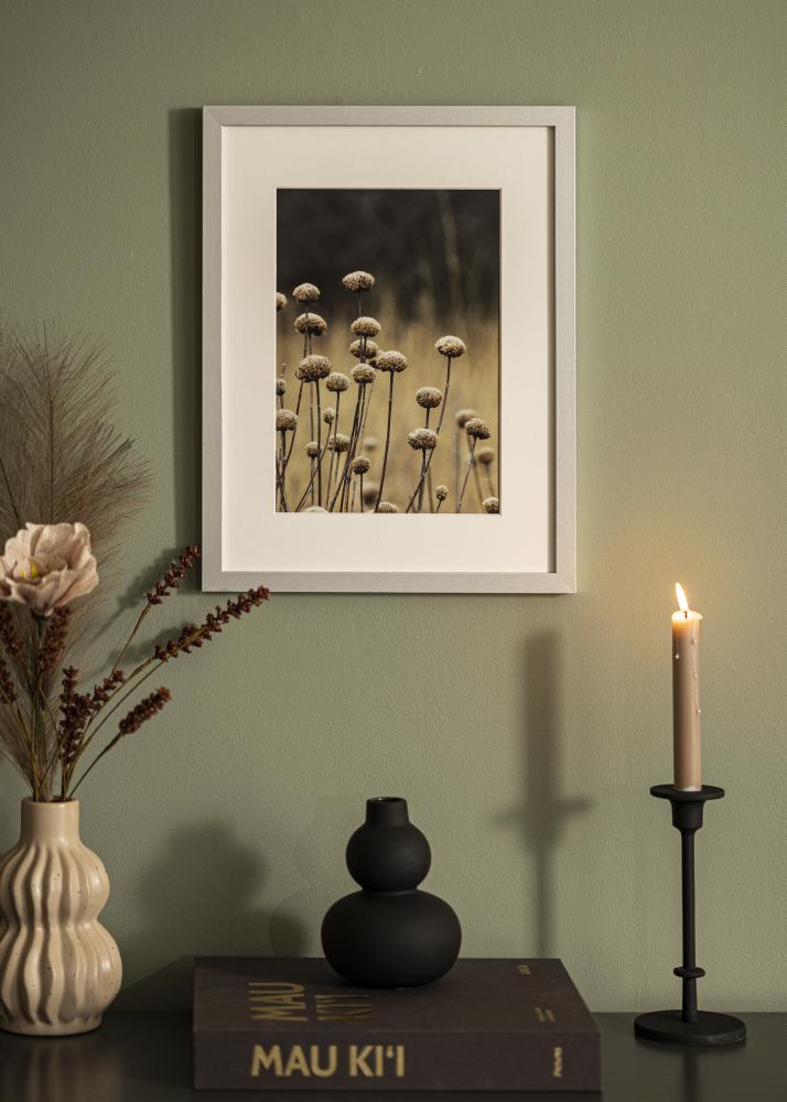 BGA Frame Selection Acrylic Glass Silver 40x50 cm