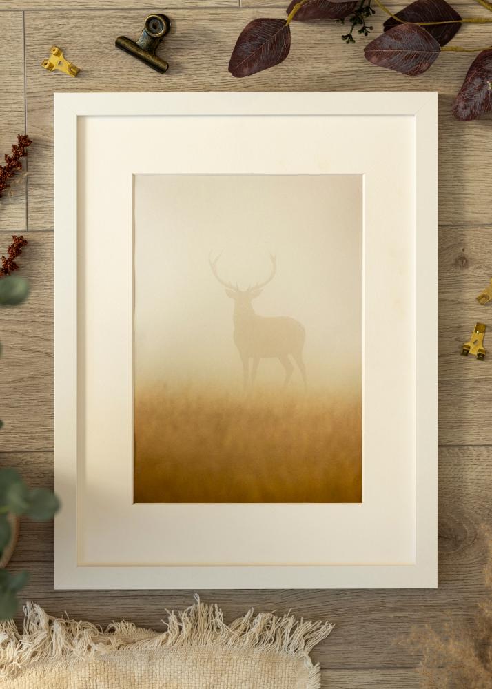 BGA Frame BGA Classic Acrylic Glass White 35x50 cm