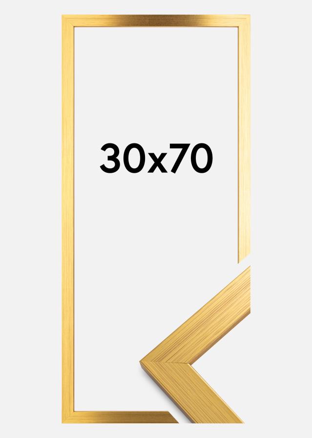 Galleri 1 Frame Gold Wood Acrylic glass 30x70 cm
