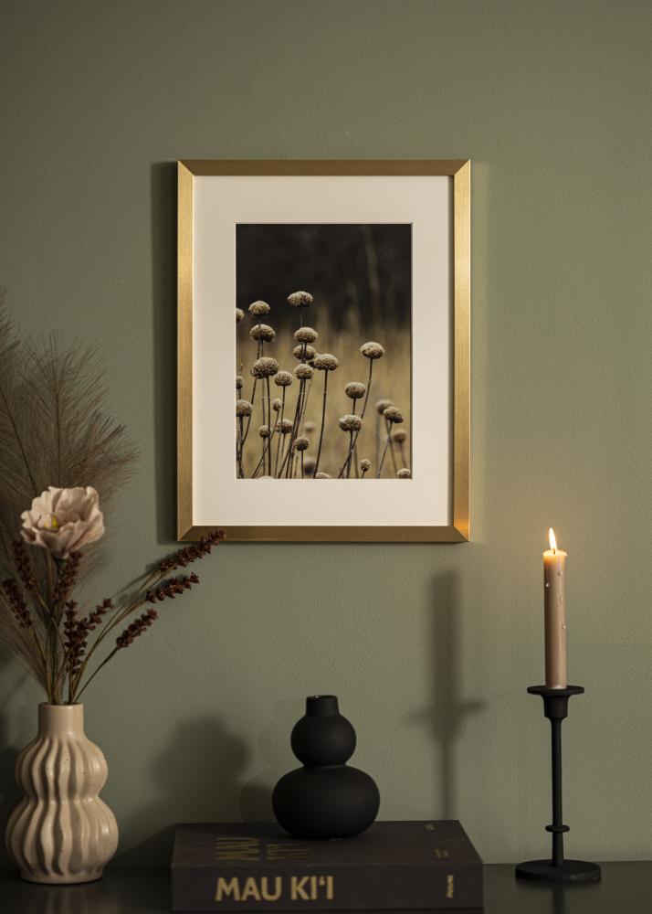 BGA Frame Selection Acrylic Glass Gold 40x50 cm