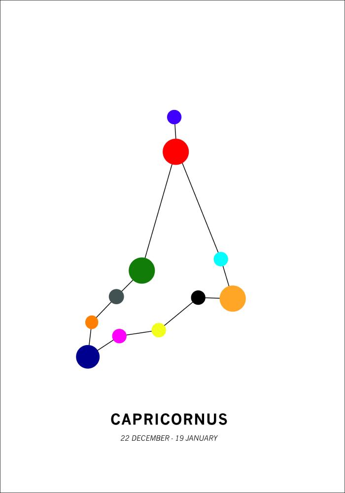 Bildverkstad Capricornus Poster