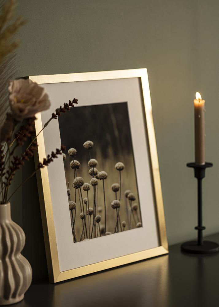 BGA Frame Selection Acrylic Glass Gold 40x50 cm