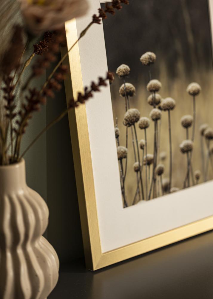 BGA Frame Selection Acrylic Glass Gold 40x50 cm