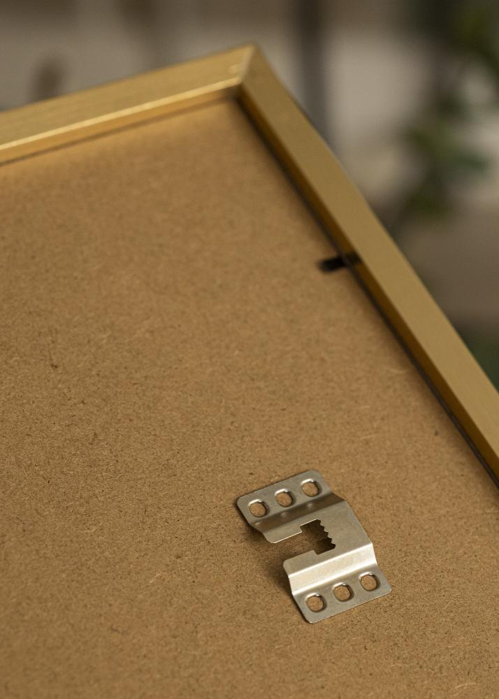 BGA Frame Selection Acrylic Glass Gold 40x50 cm