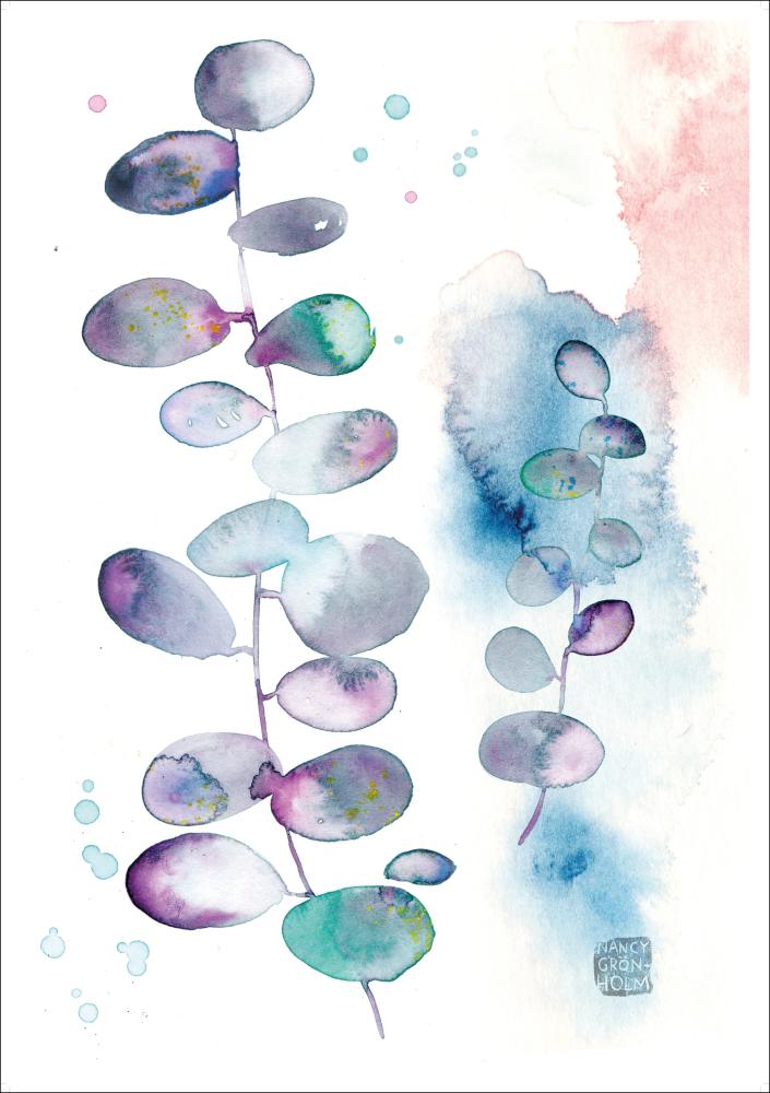 Bildverkstad Eucalyptus - Green isle studio Poster