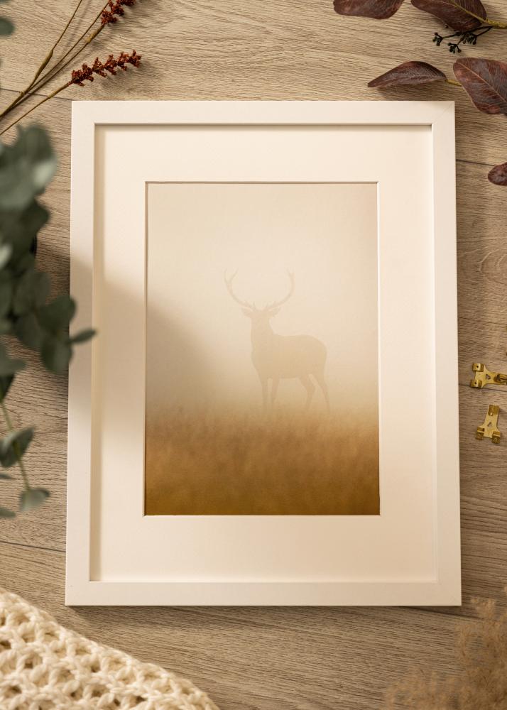 BGA Frame Deco Acrylic Glass White 60x80 cm