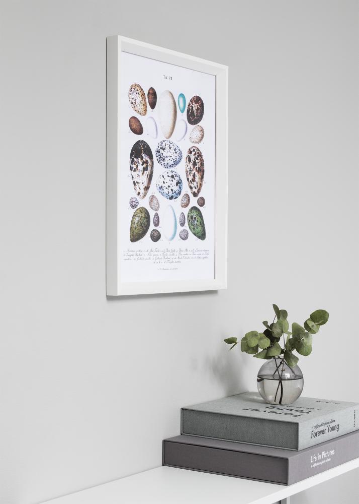 Ram med passepartou Frame Globe White 40x100 cm - Picture Mount Black 30x91 cm
