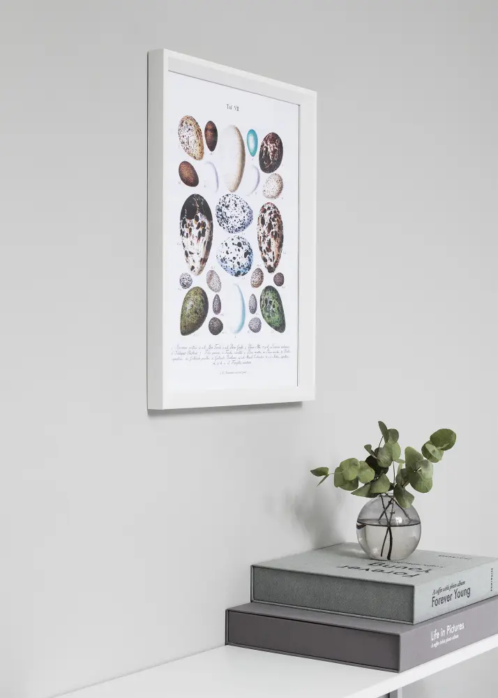 Ram med passepartou Frame Globe White 40x50 cm - Picture Mount Black 29.7x42 cm (A3)
